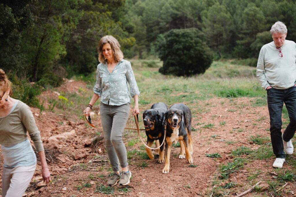 Activities — Torres de Selma