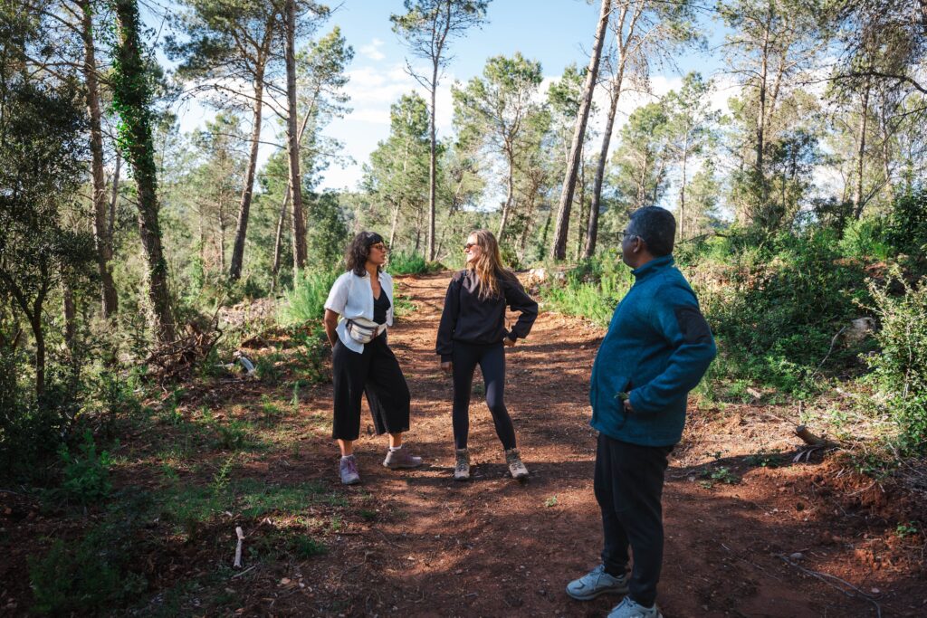 Activities — Torres de Selma