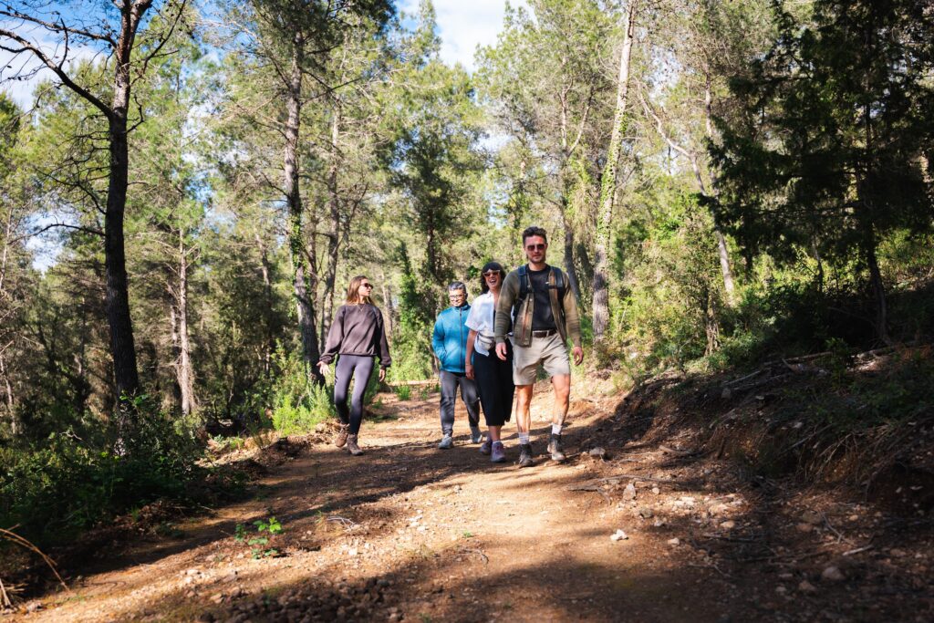 Activities — Torres de Selma