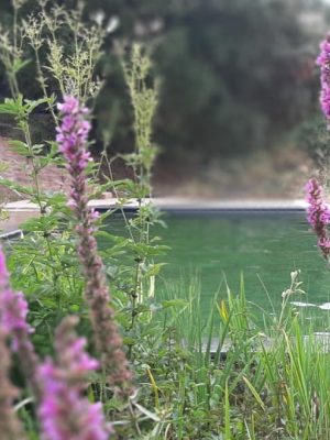 TorresDeSelma_EcoRetreat_LuxuryResort_RestaurantNalu_Footer1